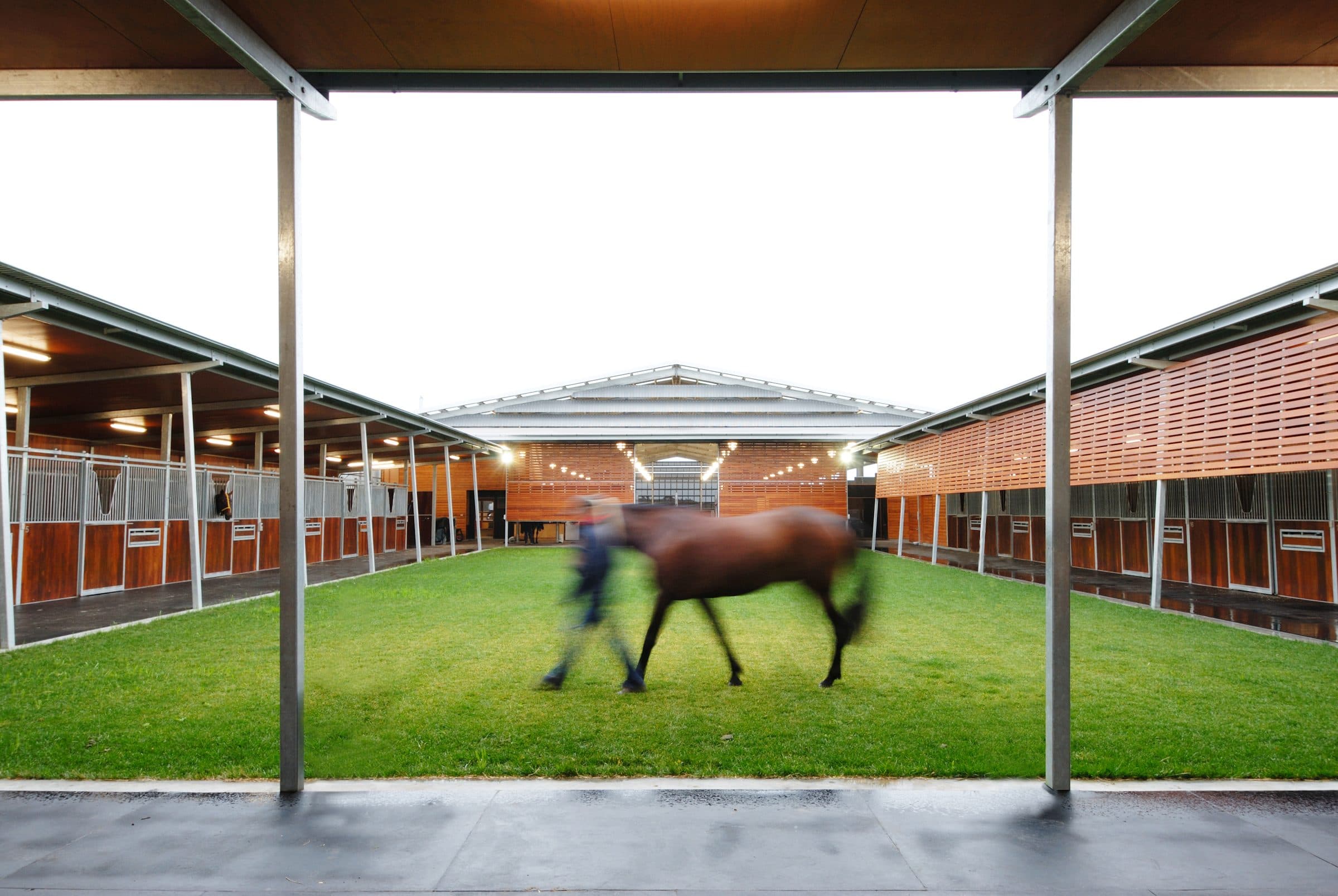 A horse walked through the courtyard of a Luke Jones Architects stable